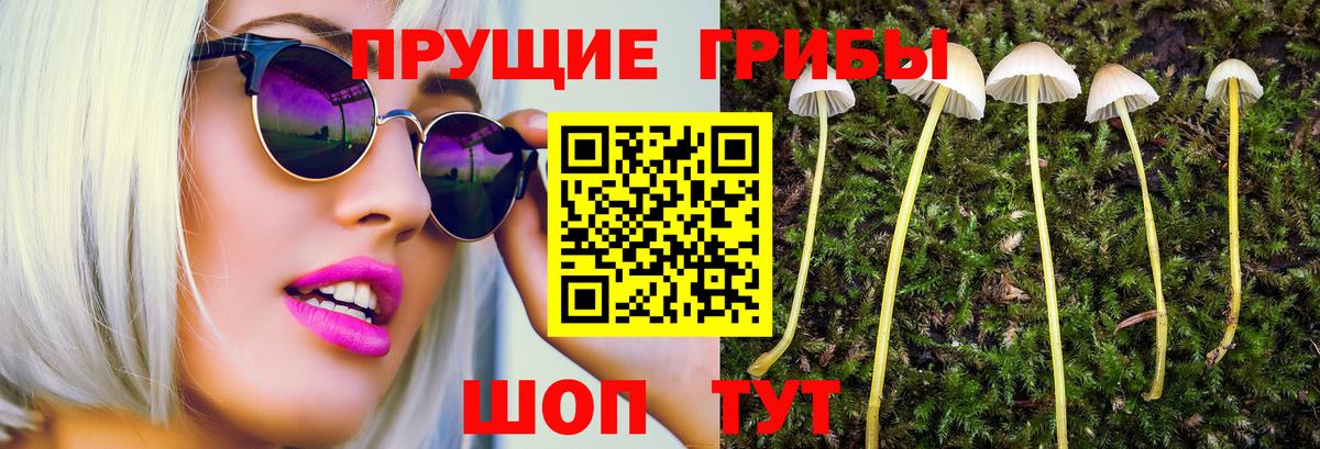 Псилоцибиновые грибы GOLDEN TEACHER  Вход с VPN  Нижнеудинск 