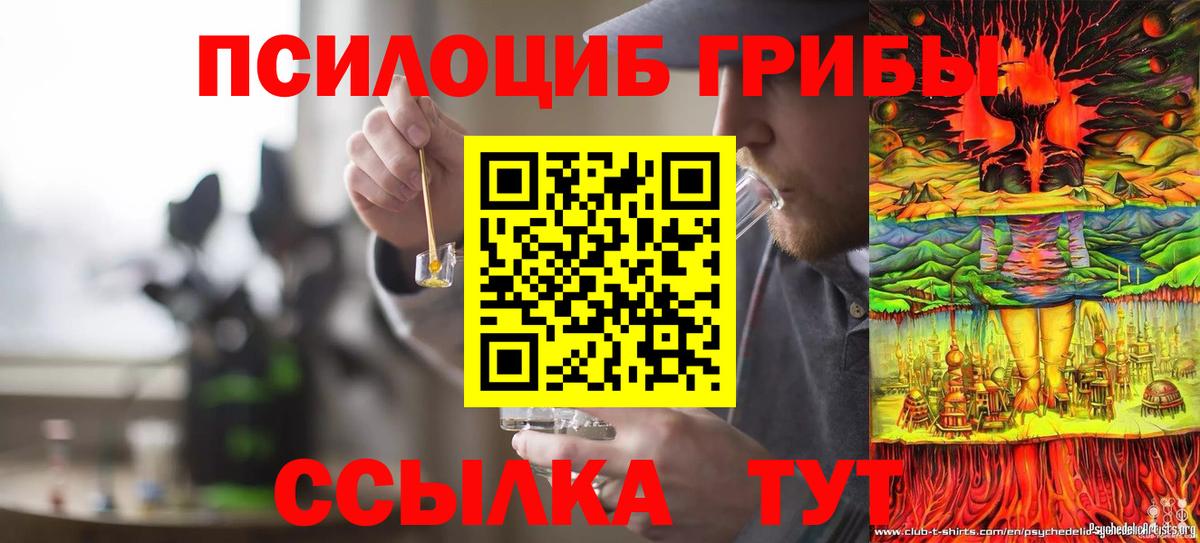 Галлюциногенные грибы GOLDEN TEACHER Нижнеудинск