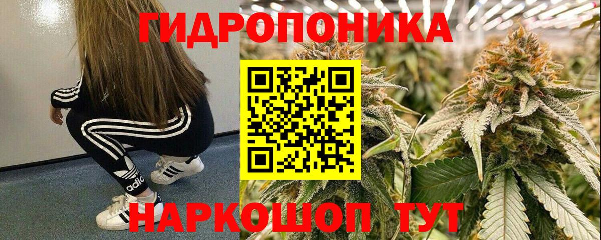 Бошки Шишки конопля  Вход с VPN  Нижнеудинск  Каннабис конопля  Конопля гибрид 